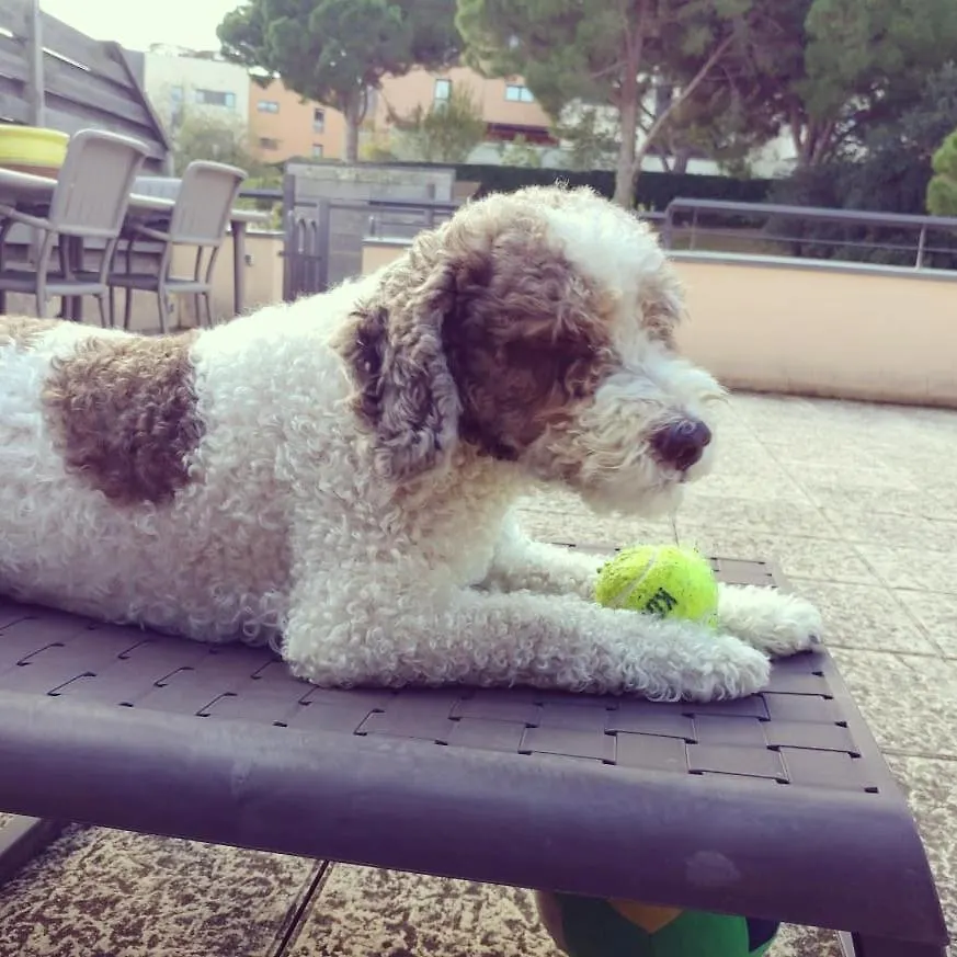 Apartment Sa Boadella Beach, Lloret De Mar - Costa Brava
