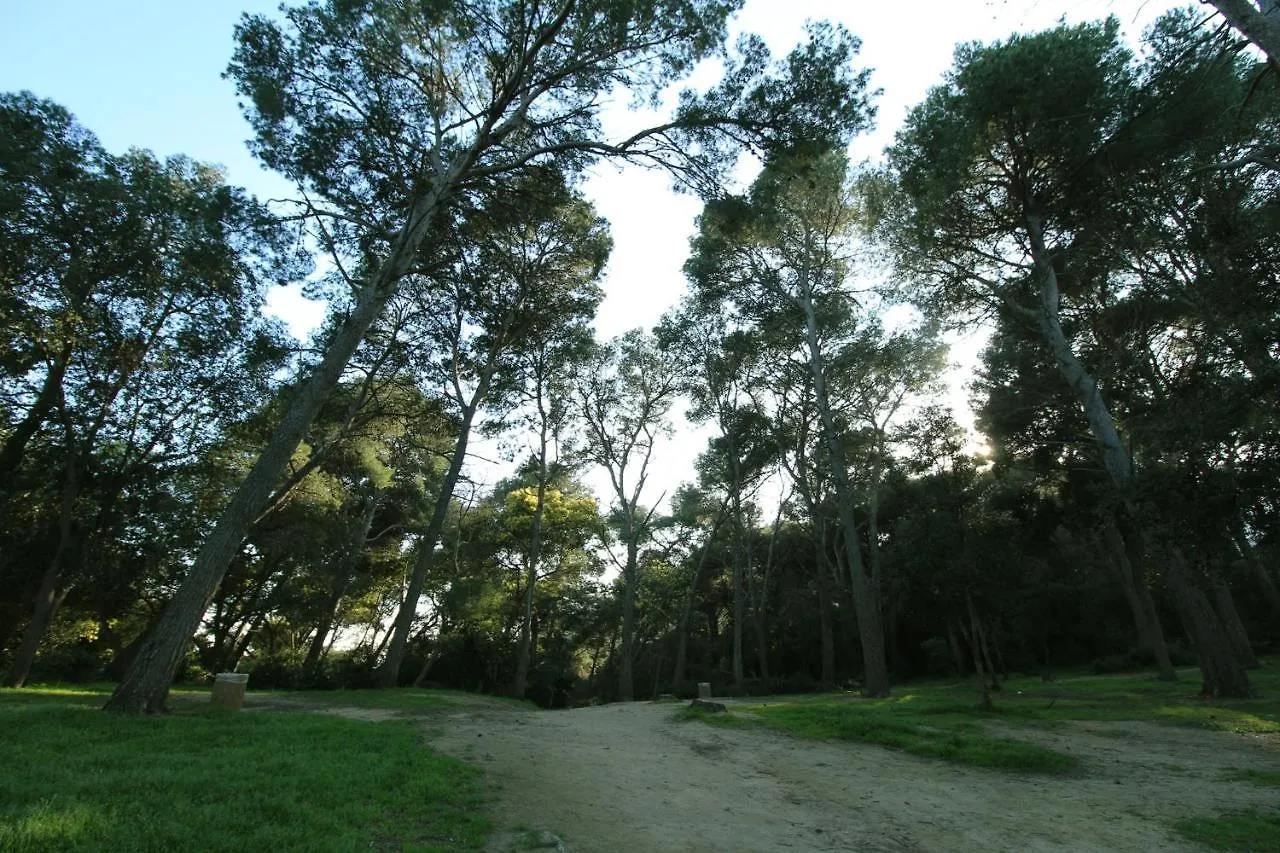 Apartment Sa Boadella Beach, Lloret De Mar - Costa Brava