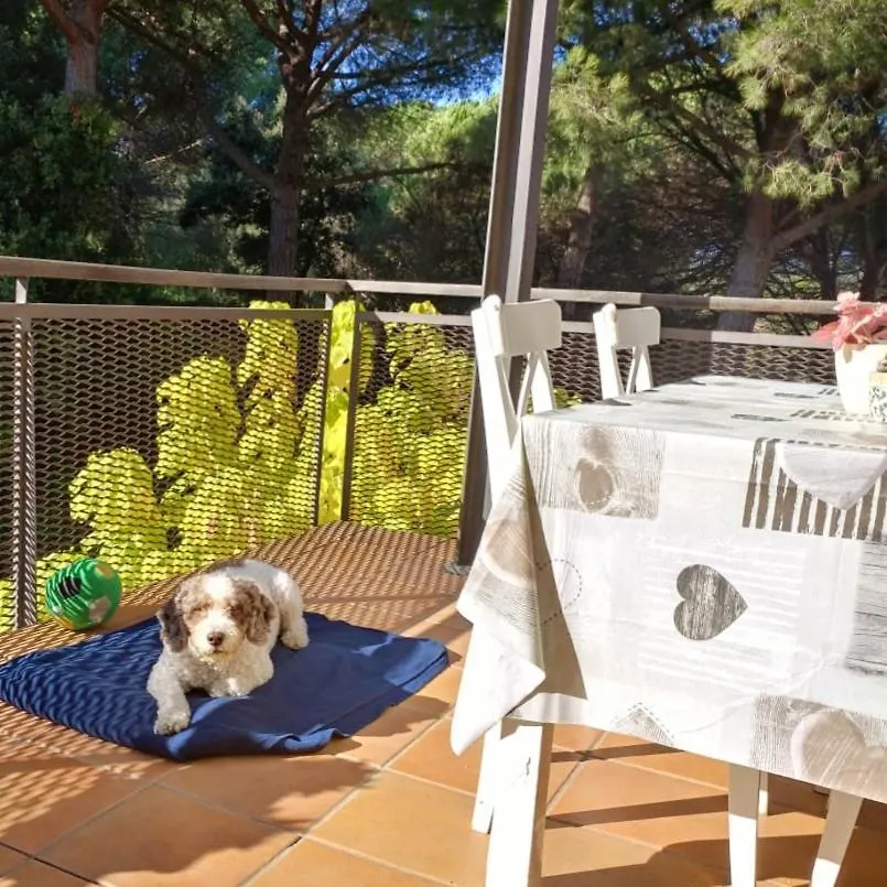 Apartment Sa Boadella Beach, Lloret De Mar - Costa Brava